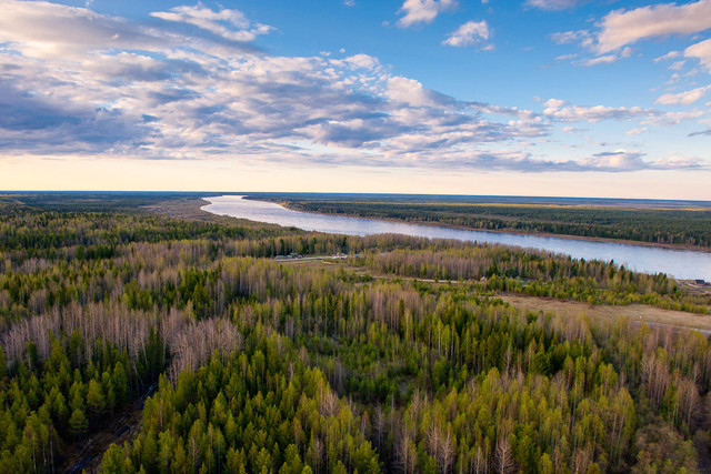 Me man truoc ve dep ky vi cua rung taiga o nuoc Nga-Hinh-2