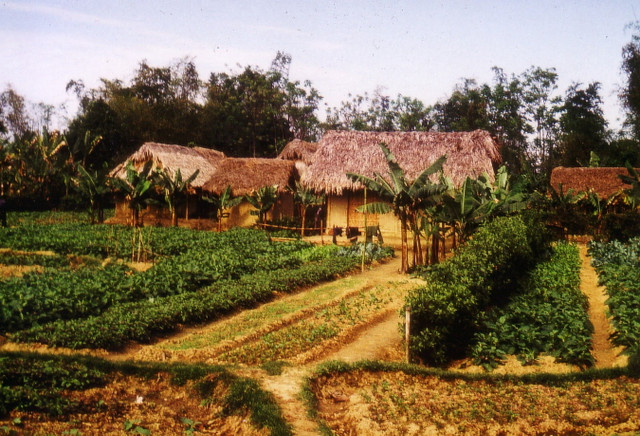 Cuộc sống nông thôn Thái Nguyên thập niên 1970 qua loạt ảnh quý - Hình 2 Cuoc song nong thon Thai Nguyen thap nien 1970 qua loat anh quy-Hinh-2
