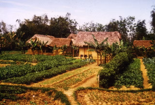 Cuoc song nong thon Thai Nguyen thap nien 1970 qua loat anh quy-Hinh-2