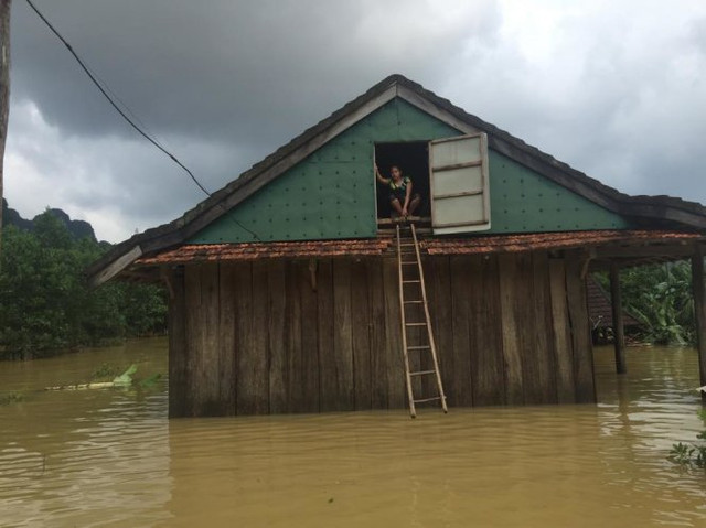 Mùa lụt bão: Người dân miền Trung tận dụng cái 'Tra' như thế nào? - Hình 2 Mua lut bao: Nguoi dan mien Trung tan dung cai 'Tra' nhu the nao?-Hinh-2