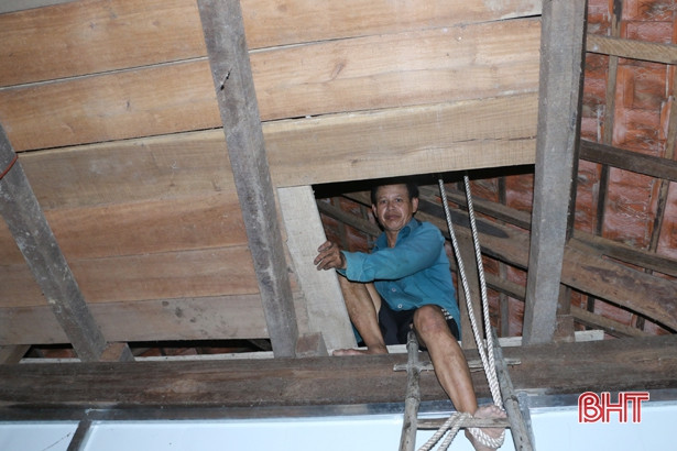 Mùa lụt bão: Người dân miền Trung tận dụng cái 'Tra' như thế nào? - Hình 3 Mua lut bao: Nguoi dan mien Trung tan dung cai 'Tra' nhu the nao?-Hinh-3