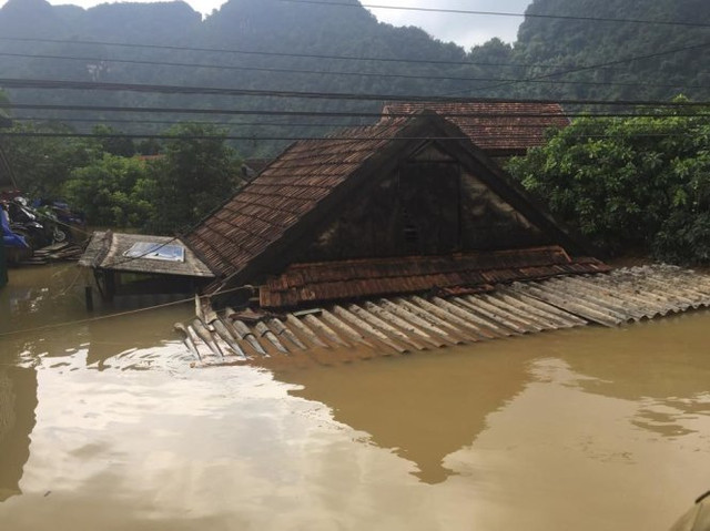 Mùa lụt bão: Người dân miền Trung tận dụng cái 'Tra' như thế nào? - Hình 8 Mua lut bao: Nguoi dan mien Trung tan dung cai 'Tra' nhu the nao?-Hinh-8