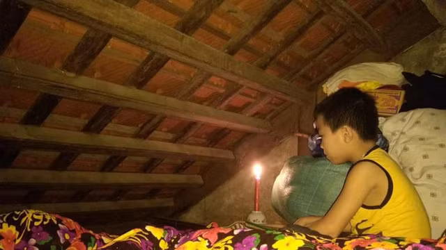 Mua lut bao: Nguoi dan mien Trung tan dung cai 'Tra' nhu the nao?-Hinh-5