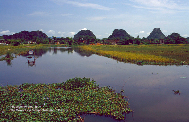 Khung cảnh tươi đẹp của Ninh Bình năm 1998 qua ống kính Tây Khung canh tuoi dep cua Ninh Binh nam 1998 qua ong kinh Tay