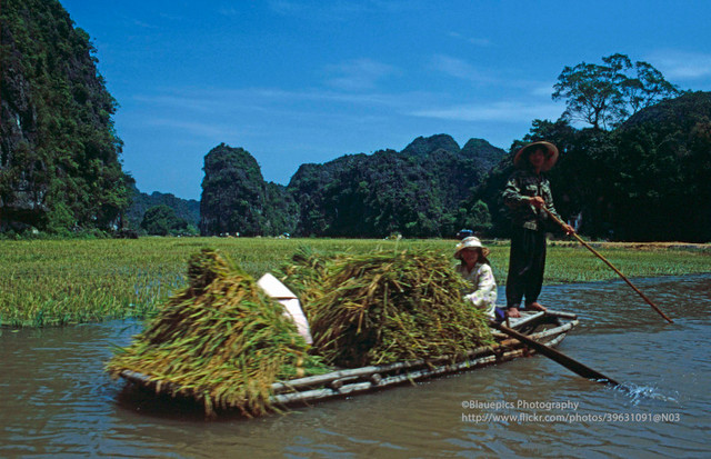 Khung cảnh tươi đẹp của Ninh Bình năm 1998 qua ống kính Tây - Hình 8 Khung canh tuoi dep cua Ninh Binh nam 1998 qua ong kinh Tay-Hinh-8