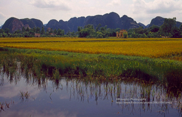 Khung cảnh tươi đẹp của Ninh Bình năm 1998 qua ống kính Tây - Hình 3 Khung canh tuoi dep cua Ninh Binh nam 1998 qua ong kinh Tay-Hinh-3