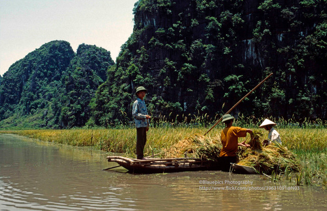 Khung cảnh tươi đẹp của Ninh Bình năm 1998 qua ống kính Tây - Hình 10 Khung canh tuoi dep cua Ninh Binh nam 1998 qua ong kinh Tay-Hinh-10