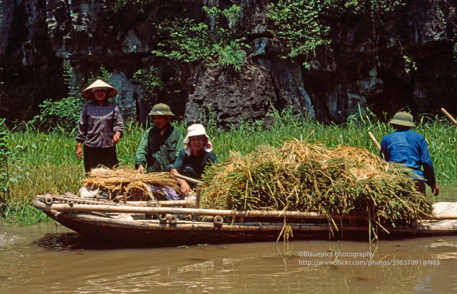 Khung cảnh tươi đẹp của Ninh Bình năm 1998 qua ống kính Tây - Hình 9 Khung canh tuoi dep cua Ninh Binh nam 1998 qua ong kinh Tay-Hinh-9