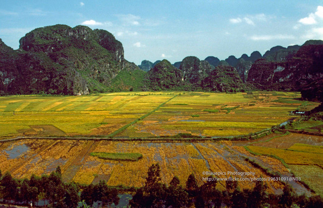 Khung cảnh tươi đẹp của Ninh Bình năm 1998 qua ống kính Tây - Hình 6 Khung canh tuoi dep cua Ninh Binh nam 1998 qua ong kinh Tay-Hinh-6