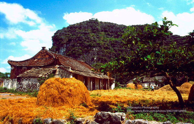 Khung cảnh tươi đẹp của Ninh Bình năm 1998 qua ống kính Tây - Hình 11 Khung canh tuoi dep cua Ninh Binh nam 1998 qua ong kinh Tay-Hinh-11