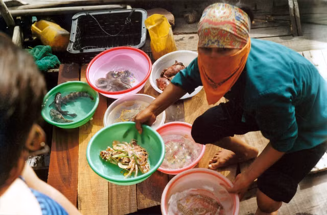 Viet Nam tron 20 nam truoc qua loat hinh anh dac biet-Hinh-12