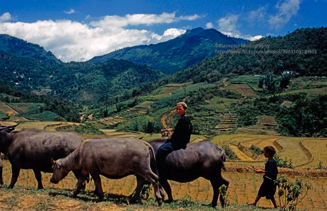 Ve dep thuan khiet cua Sa Pa nam 1998 qua loat anh la-Hinh-10