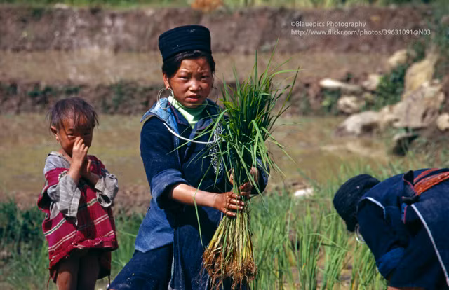Ve dep thuan khiet cua Sa Pa nam 1998 qua loat anh la-Hinh-4
