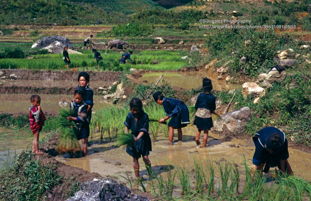 Vẻ đẹp thuần khiết của Sa Pa năm 1998 qua loạt ảnh lạ - Hình 3 Ve dep thuan khiet cua Sa Pa nam 1998 qua loat anh la-Hinh-3