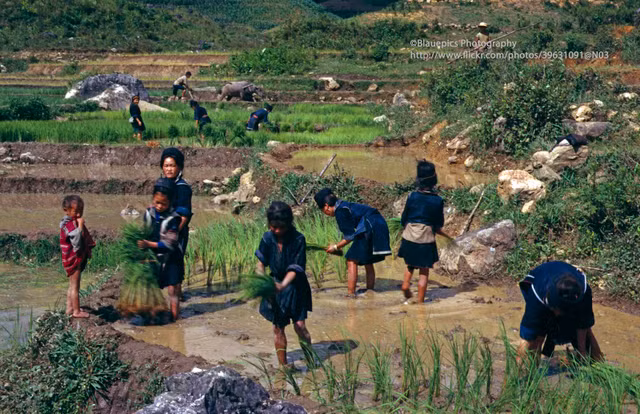 Ve dep thuan khiet cua Sa Pa nam 1998 qua loat anh la-Hinh-3