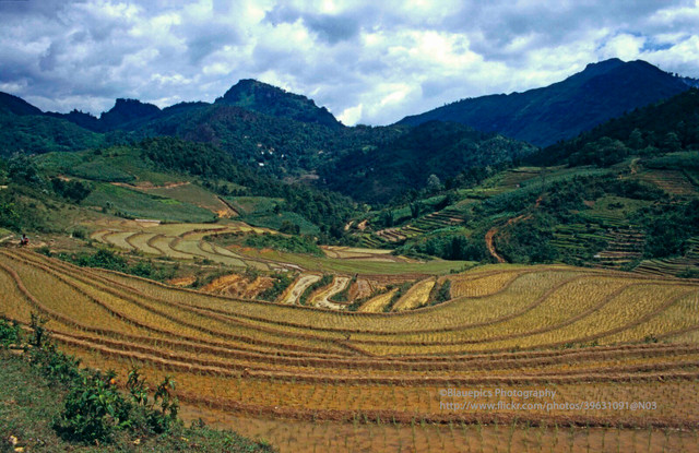 Vẻ đẹp thuần khiết của Sa Pa năm 1998 qua loạt ảnh lạ - Hình 2 Ve dep thuan khiet cua Sa Pa nam 1998 qua loat anh la-Hinh-2