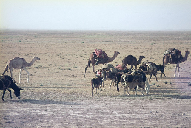 Cuoc song binh yen o Afghanistan nam 1971 qua loat anh quy-Hinh-14