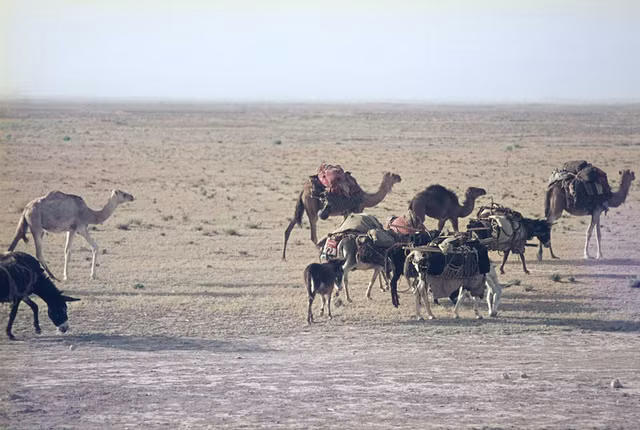 Cuoc song binh yen o Afghanistan nam 1971 qua loat anh quy-Hinh-14