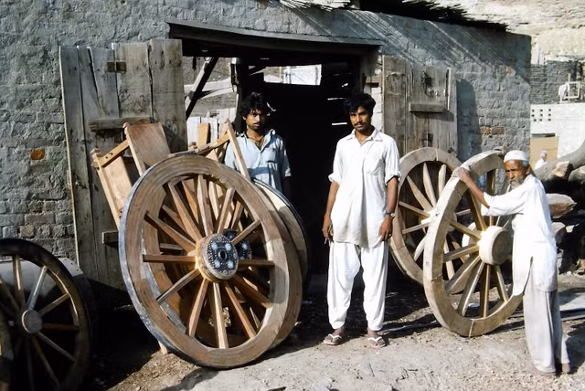 Ban sac van hoa doc dao o dat nuoc Pakistan nam 1976-Hinh-16