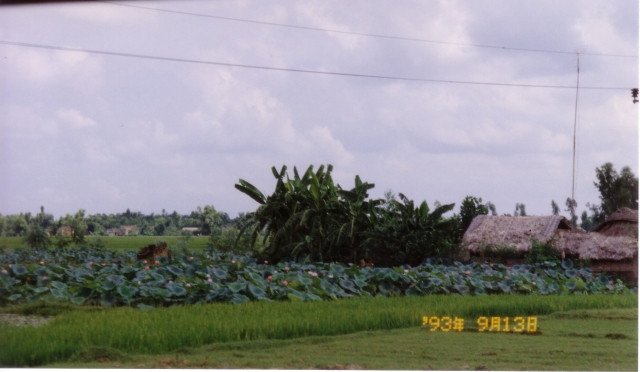 Cuộc sống ở nông thôn Việt Nam năm 1993 cực mộc mạc - Hình 7 Cuoc song o nong thon Viet Nam nam 1993 cuc moc mac-Hinh-7