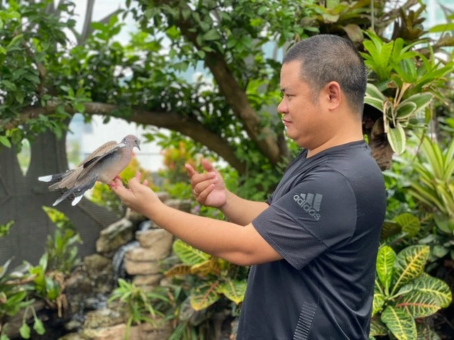 Hệ sinh thái vườn chim hơn 1 tỷ đồng trên sân thượng của đại gia Đà Nẵng He sinh thai vuon chim hon 1 ty dong tren san thuong cua dai gia Da Nang