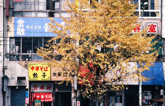 Ngắm thành phố Tokyo cực sống động năm 1980 qua loạt ảnh quý - Hình 10 Ngam thanh pho Tokyo cuc song dong nam 1980 qua loat anh quy-Hinh-10