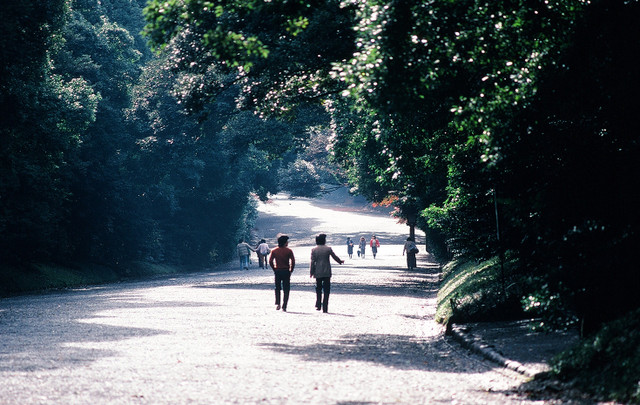 Ngắm thành phố Tokyo cực sống động năm 1980 qua loạt ảnh quý - Hình 4 Ngam thanh pho Tokyo cuc song dong nam 1980 qua loat anh quy-Hinh-4
