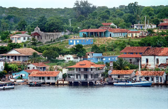 Loat anh sinh dong ve dat nuoc Cuba nam 1981-Hinh-9