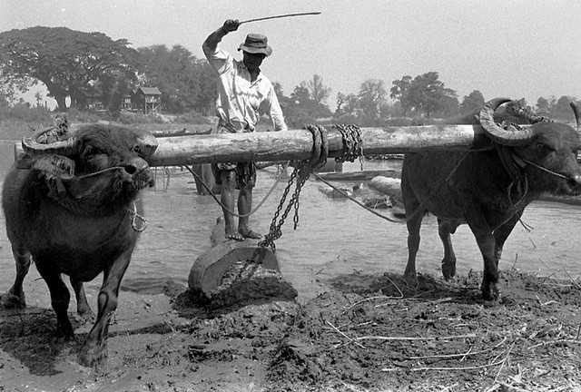 Khách Tây với trải nghiệm khó quên cuộc sống ở Miến Điện năm 1979 - Hình 7 Khach Tay voi trai nghiem kho quen cuoc song o Mien Dien nam 1979-Hinh-7