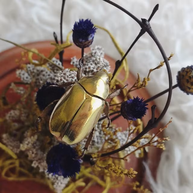 Bi mat loai bo hung vang choi khap co the-Hinh-5