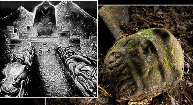 Bị hủy hoại khuôn mặt sau khi đến thành phố của Thần Khỉ Bi huy hoai khuon mat sau khi den thanh pho cua Than Khi