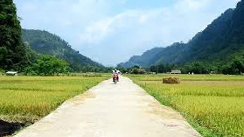 Hé lộ lý do nhà thầu giá thấp trượt thầu tại dự án xã Anh Dũng