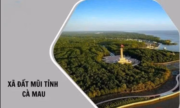 Cà Mau: Gói thầu hơn 9 tỷ đồng trúng sát nút nhờ thư giảm giá