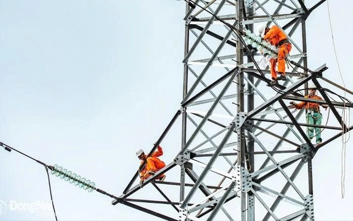 Đấu thầu tại Tây Ninh: Vì sao nhà thầu giá thấp nhất bị loại?