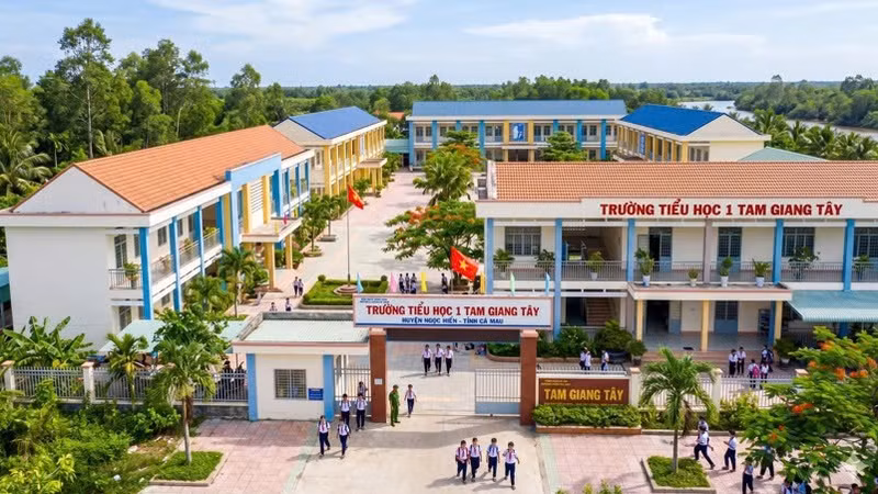 Nhà thầu nào trúng gói xây dựng Trường Tiểu học 1 Tam Giang Tây hơn 10 tỷ tại Cà Mau 