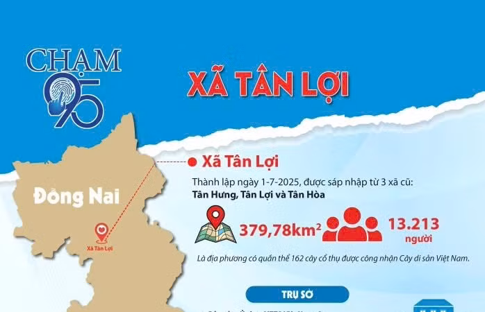 Đồng Nai: Loại đối thủ vì thiếu hồ sơ, xây dựng Xuân Giang rộng cửa trúng thầu 2,8 tỷ