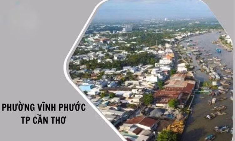 Gói thầu xây dựng Trường mầm non Vĩnh Phước: Vì sao hai nhà thầu bỏ giá thấp bị loại? 