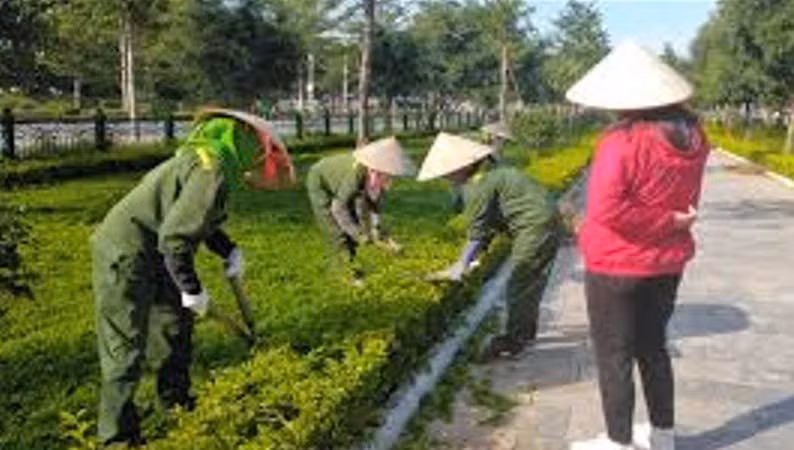 Đấu thầu xã Minh Hưng: Công ty Bảo Long trúng gói chăm sóc cây xanh tiết kiệm 16%