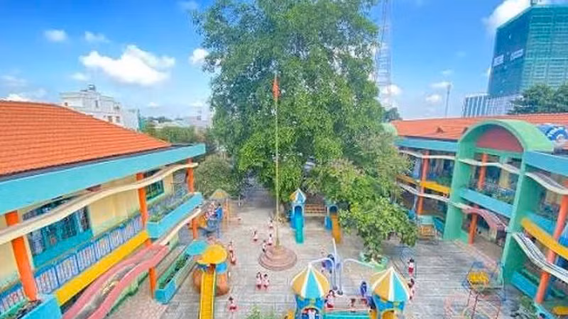 Gói thầu hơn 7 tỷ sửa Trường Mầm non Tuổi Ngọc chỉ có một nhà thầu dự thầu