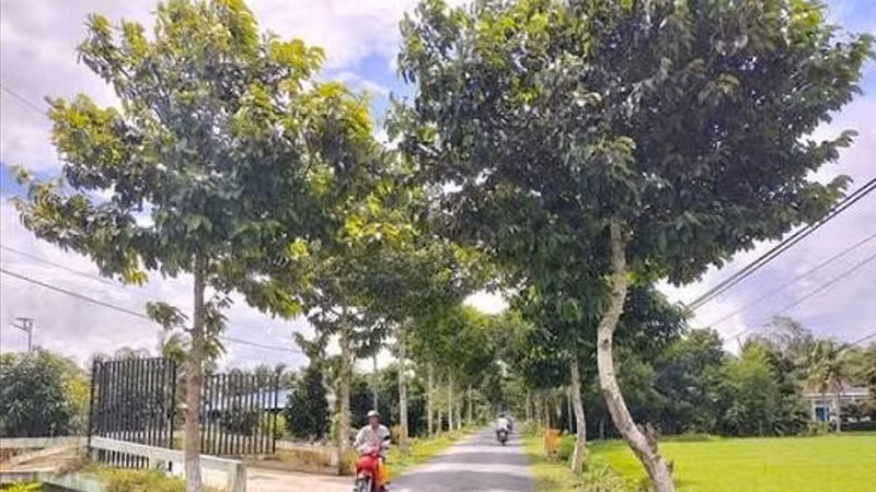Vĩnh Long: Hai nhà thầu cạnh tranh gói xây đường hơn 15,6 tỷ đồng