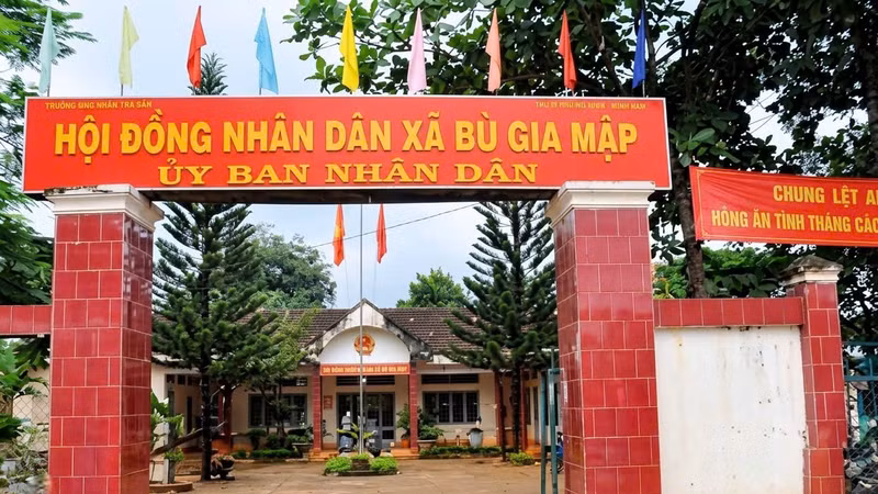 Hoạt động đấu thầu của Công ty Kiến trúc Sài Gòn BIM dưới góc nhìn luật [Kỳ 2] 