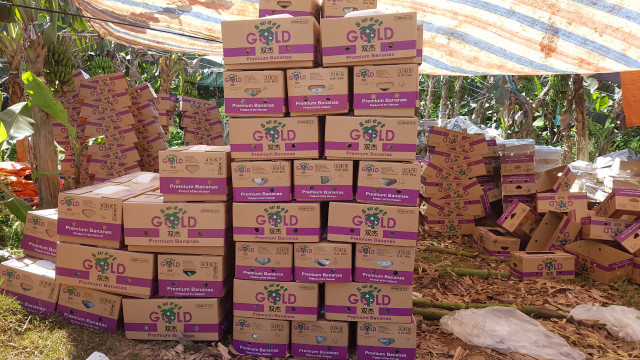 Đồng Nai: Tọa đàm, nâng cao chất lượng sản phẩm tại lễ xuất khẩu chuối tươi năm 2023 - Hình 4 Dong Nai: Toa dam, nang cao chat luong san pham tai le xuat khau chuoi tuoi nam 2023-Hinh-4