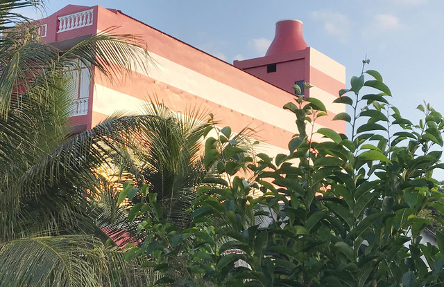 Chủ doanh nghiệp ở Sóc Trăng biến công trình nhà ở thành nhà nuôi yến - Hình 2 Chu doanh nghiep o Soc Trang bien cong trinh nha o thanh nha nuoi yen-Hinh-2