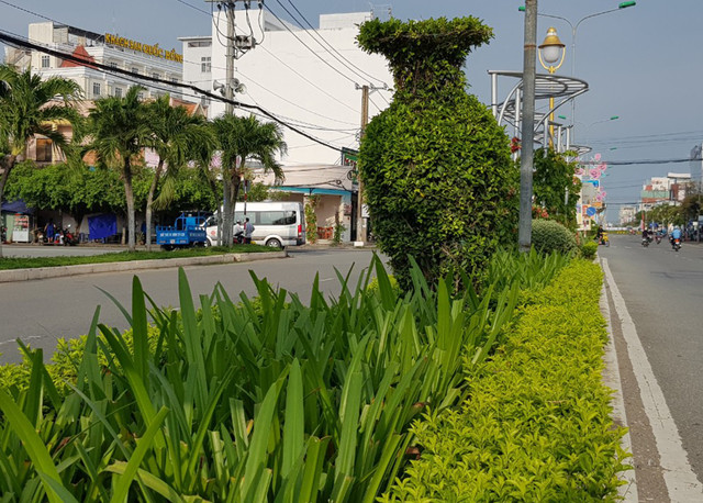 Sóc Trăng làm rõ vụ chi 104 tỷ đồng để trồng cây xanh Soc Trang lam ro vu chi 104 ty dong de trong cay xanh