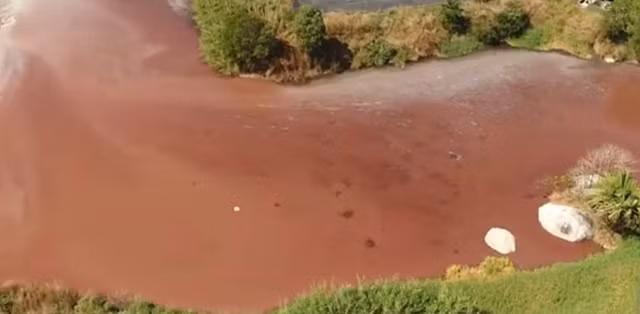 Dong Nai: So TN&MT yeu cau 4 doanh nghiep FDI tam ngung hop tac 328 trang trai