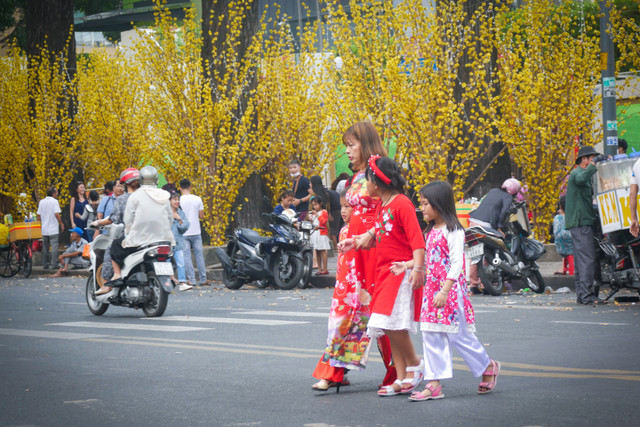 Ngam hotgirl Sai Gon xung xinh ao dai den check-in tren 'duong mai vang'-Hinh-3