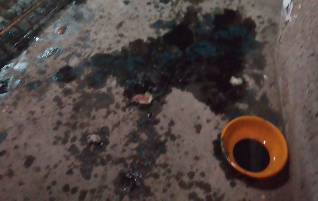 Một gia đình ở Sóc Trăng bị tạt trứng thối trộn nhớt - Hình 2 Mot gia dinh o Soc Trang bi tat trung thoi tron nhot-Hinh-2