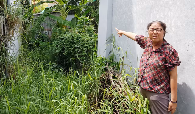 Nhieu ho dan bi chan duong thoat nuoc keu cuu chinh quyen o mien Tay