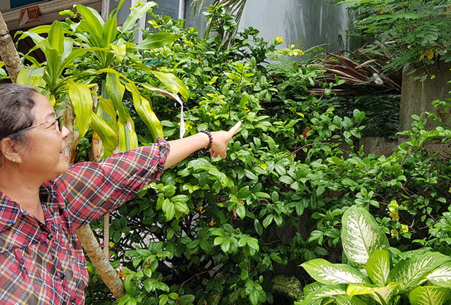 Nhiều hộ dân bị chặn đường thoát nước kêu cứu chính quyền ở miền Tây - Hình 3 Nhieu ho dan bi chan duong thoat nuoc keu cuu chinh quyen o mien Tay-Hinh-3