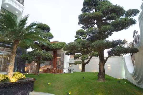 Chiem nguong biet thu toan bang go quy cua dai gia Da thanh-Hinh-4